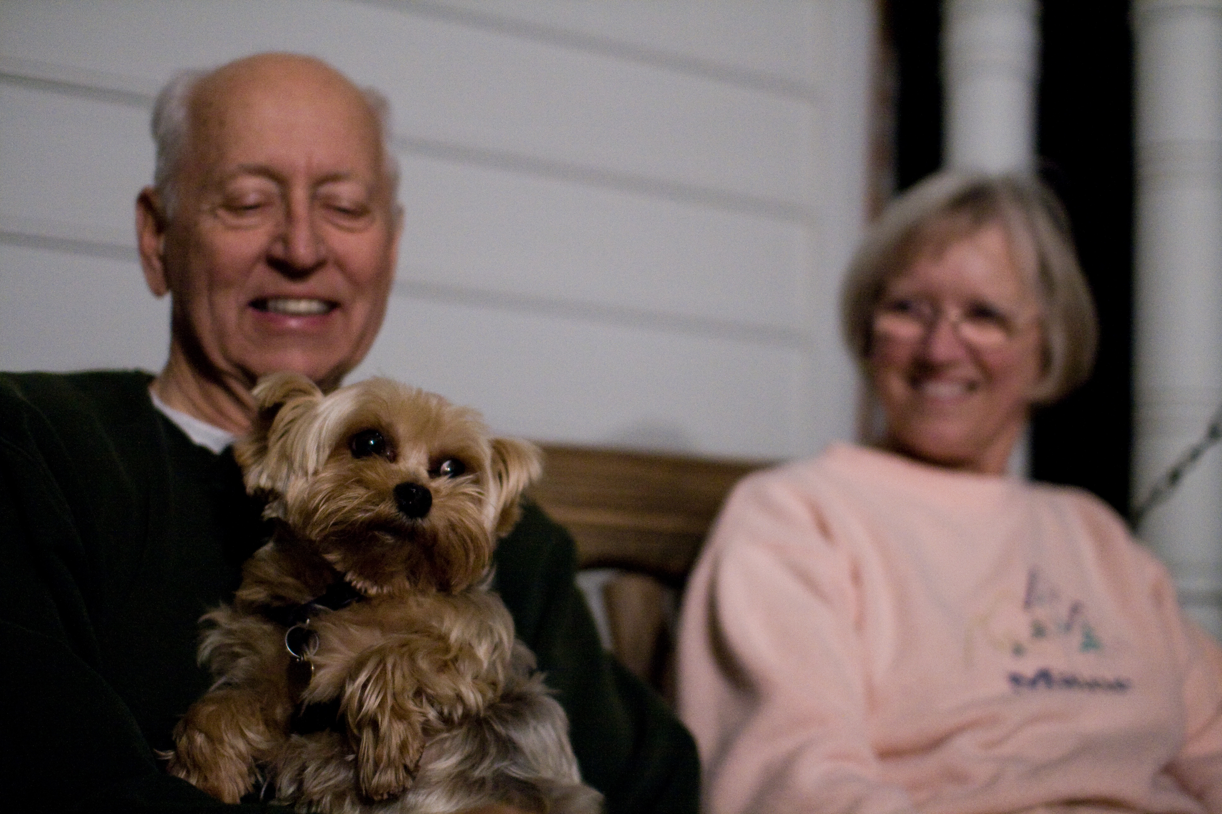 old people with yorkie health