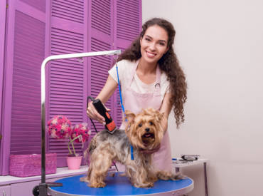 Best 5 Clippers For Yorkies Recommended By The Groomers