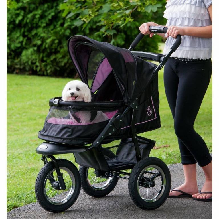 The Best Dog Strollers [For small and large dogs] Yorkie.Life