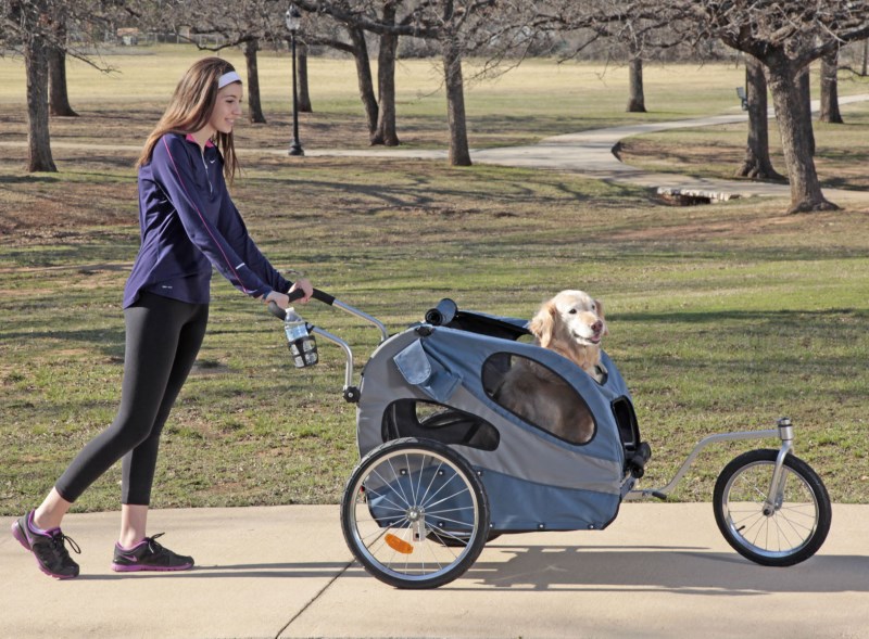 The Best Dog Strollers [For small and large dogs]