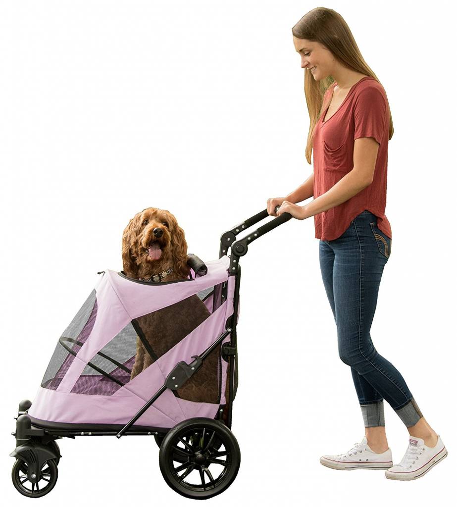The Best Dog Strollers [For small and large dogs] Yorkie.Life