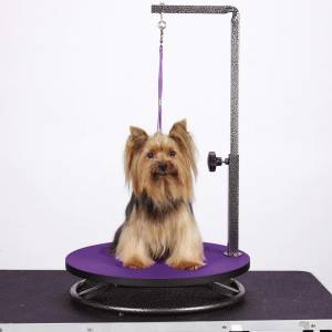 Small dog grooming table
