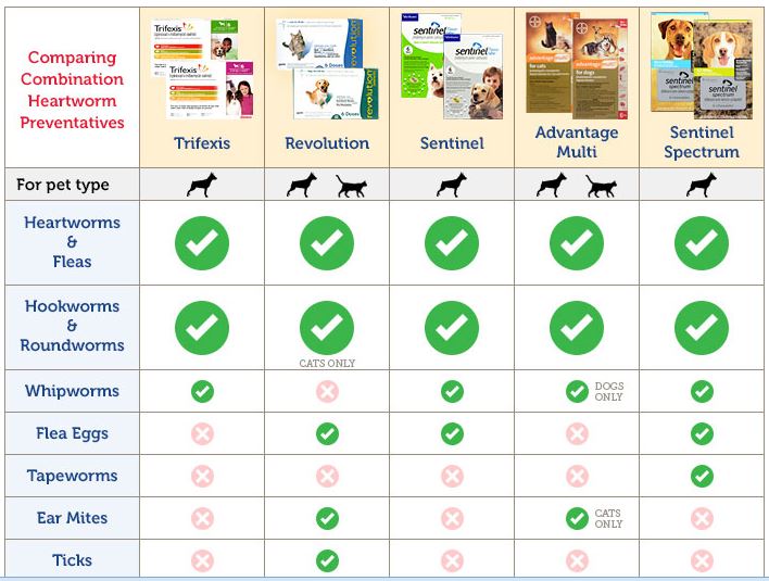 Heartworm (Dirofilariasis) Serious and potentially deadly disease